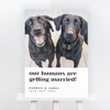 Billie Dog Welcome Wedding Sign