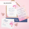 Sample Packs - Project Pretty
