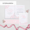 Sample Packs - Project Pretty
