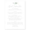Eucalyptus information card - Project Pretty