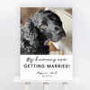 Script Dog Welcome Wedding Sign